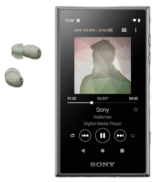 Sony Digital Audio Player Walkman Nw-A100