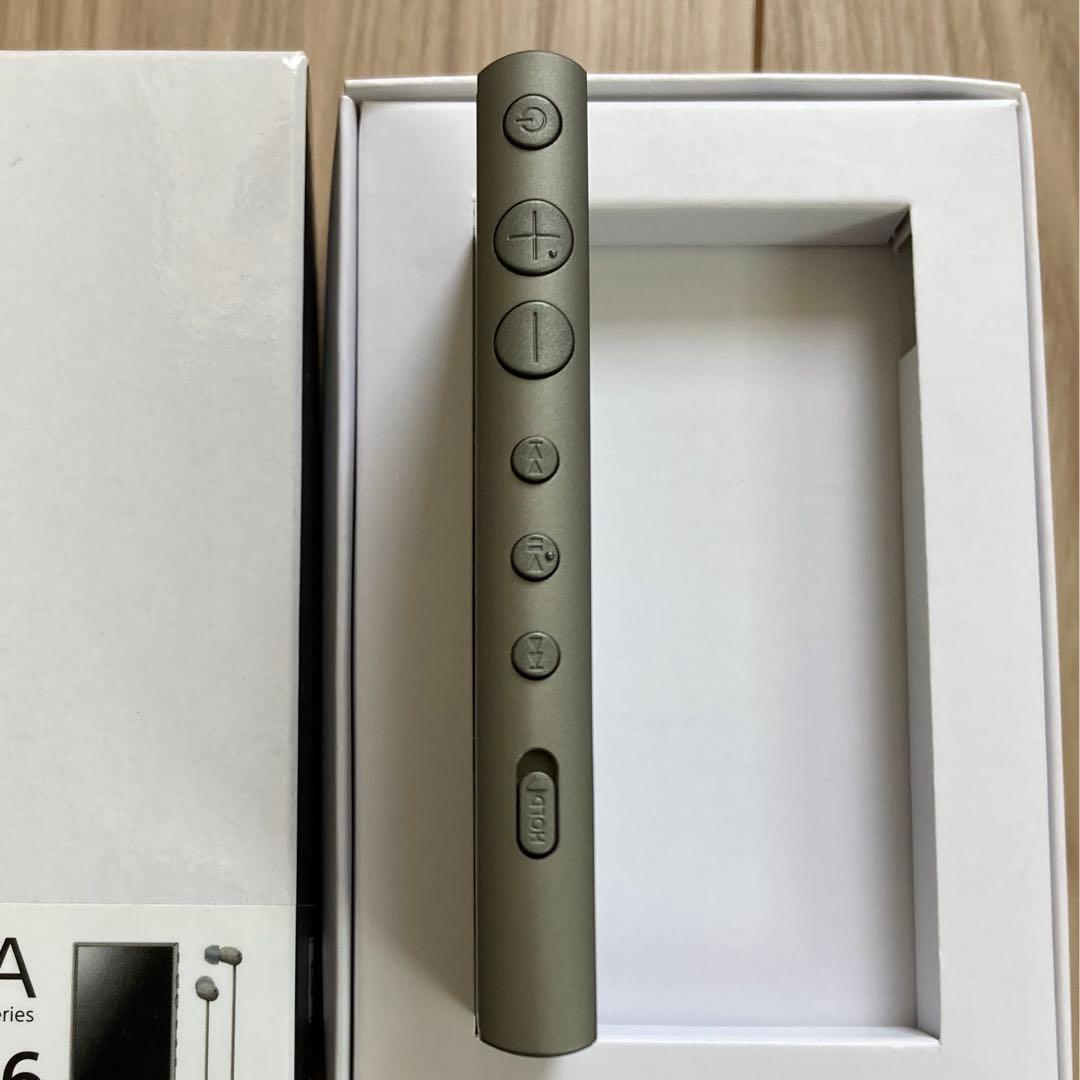 Sony Digital Audio Player Walkman Nw-A100