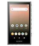 Sony Digital Audio Player Walkman Nw-A100