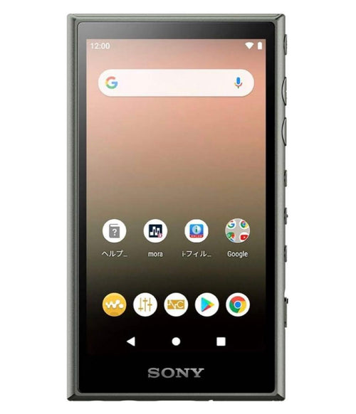 Sony Digital Audio Player Walkman Nw-A100