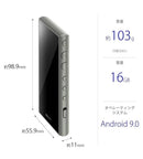 Sony Digital Audio Player Walkman Nw-A100