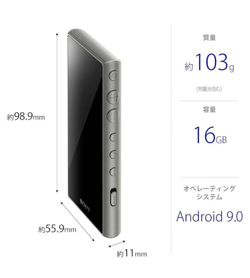 Sony Digital Audio Player Walkman Nw-A100