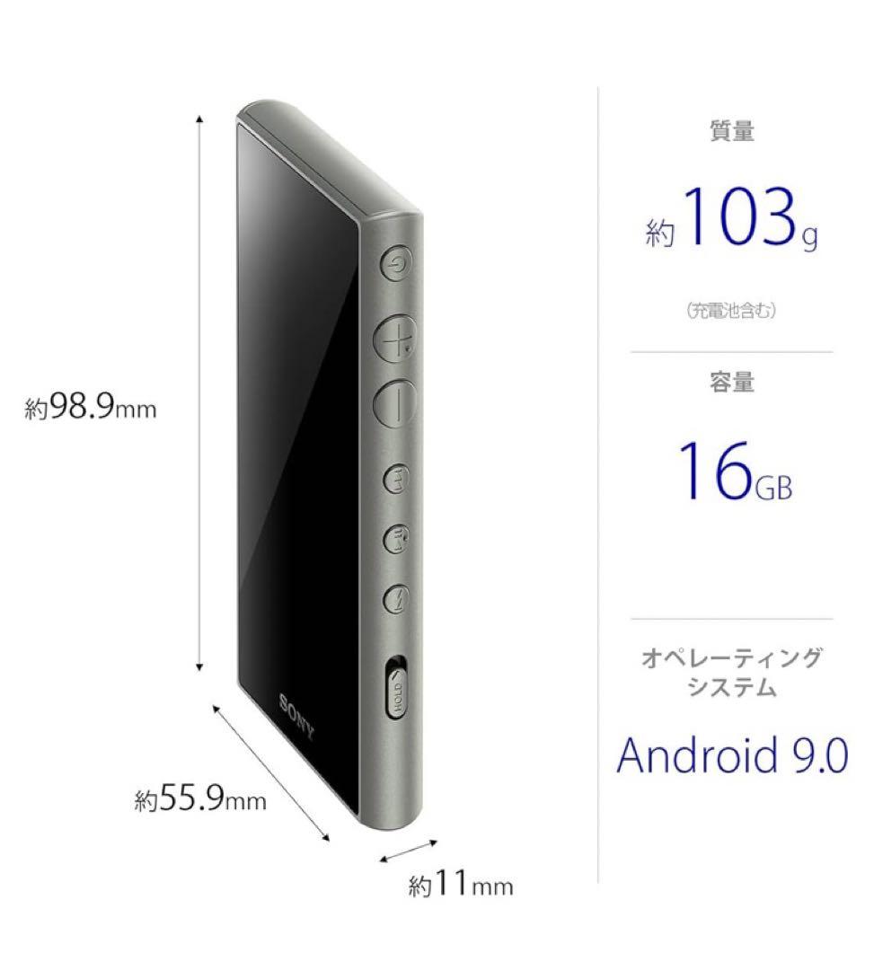 Sony Digital Audio Player Walkman Nw-A100