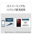 Sony Digital Audio Player Walkman Nw-A100