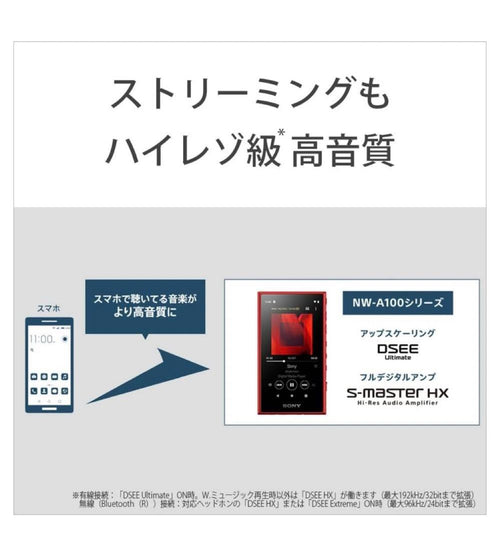 Sony Digital Audio Player Walkman Nw-A100