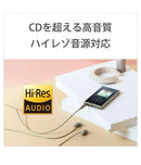 Sony Digital Audio Player Walkman Nw-A100