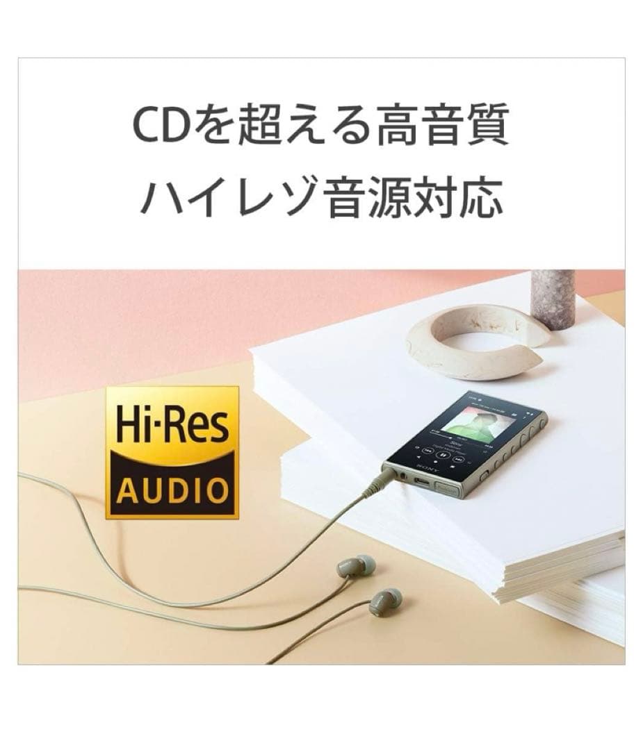 Sony Digital Audio Player Walkman Nw-A100