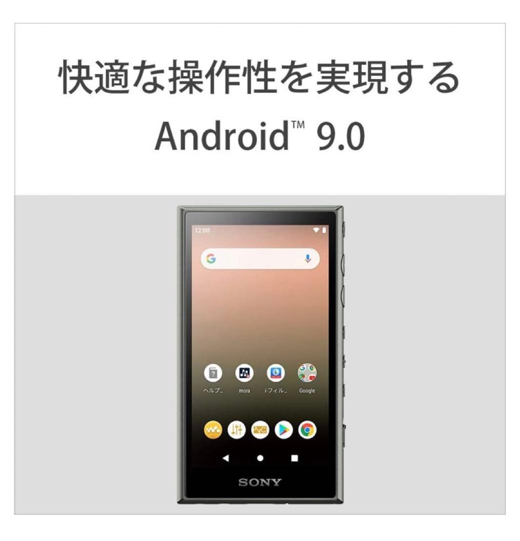 Sony Digital Audio Player Walkman Nw-A100