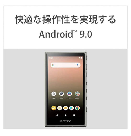 Sony Digital Audio Player Walkman Nw-A100