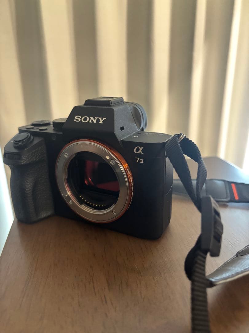 Sony Mirrorless Interchangeable Lens Cameras 7 Ii