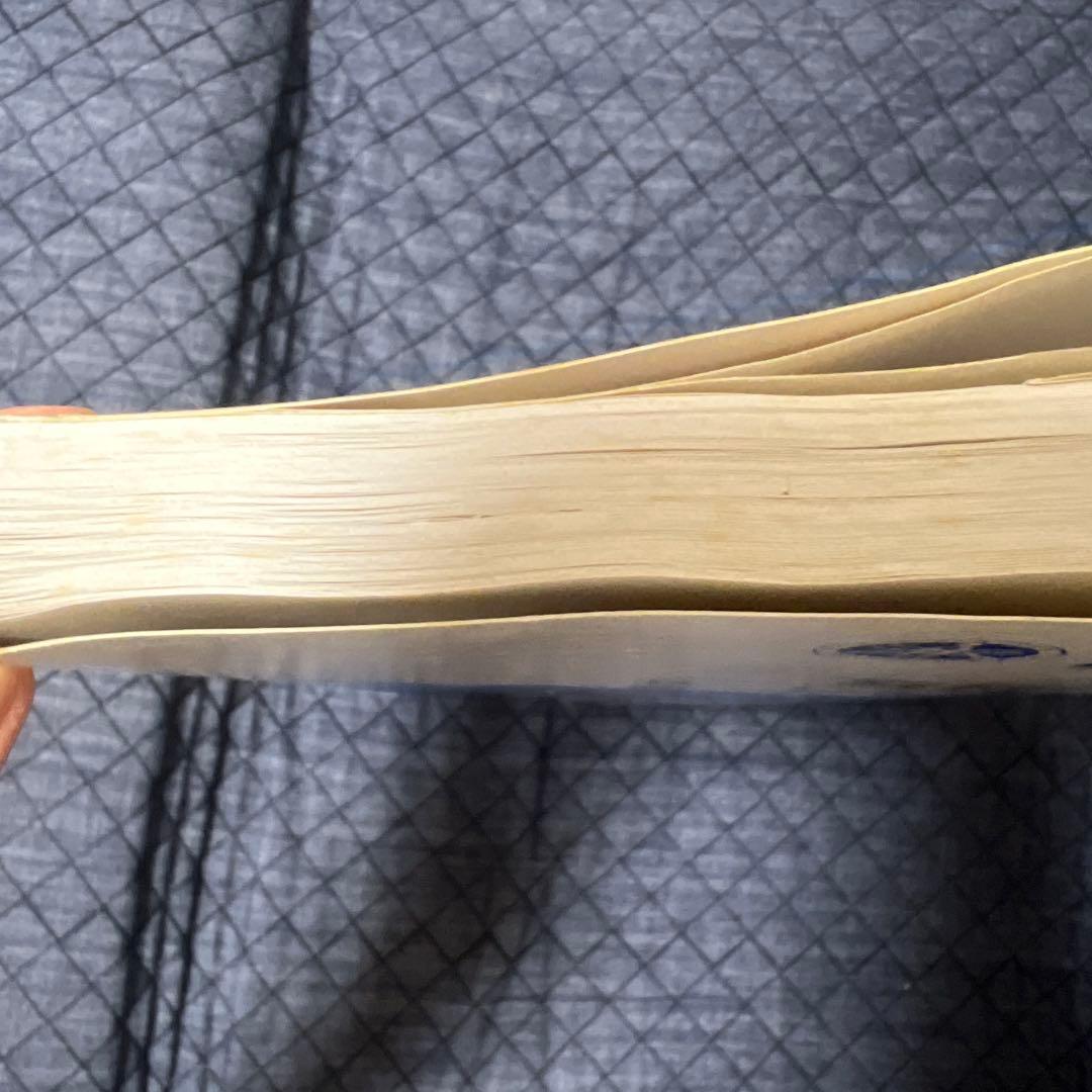 Catalog Manual Yamaha Srv250