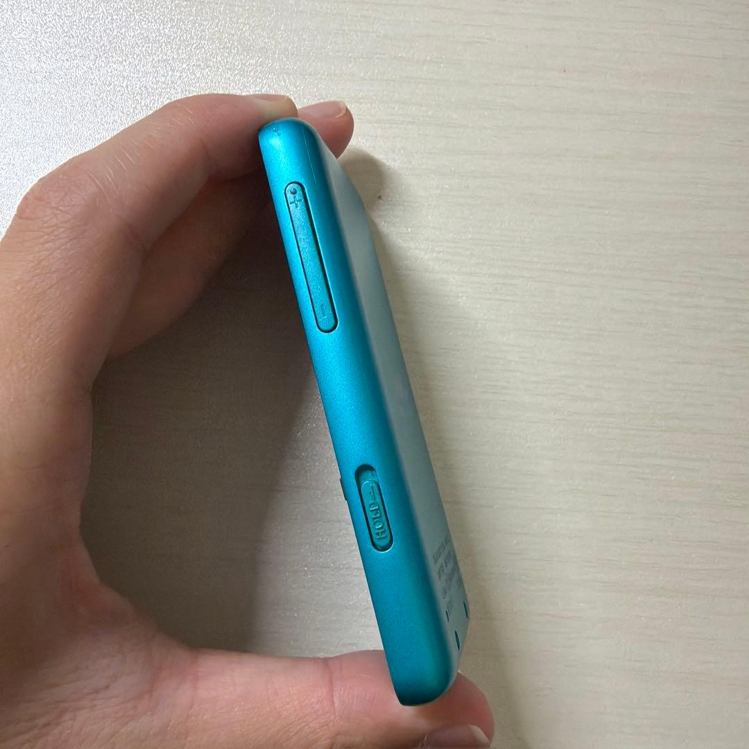 Digital Audio Players Sony Walkman Nw-S313