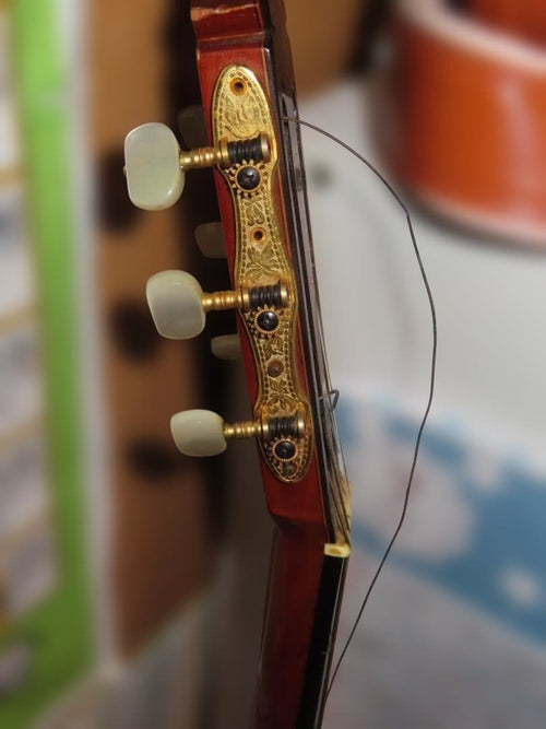 Classical Guitars Yamaha Gc-7S 1974