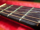 Classical Guitars Yamaha Gc-7S 1974