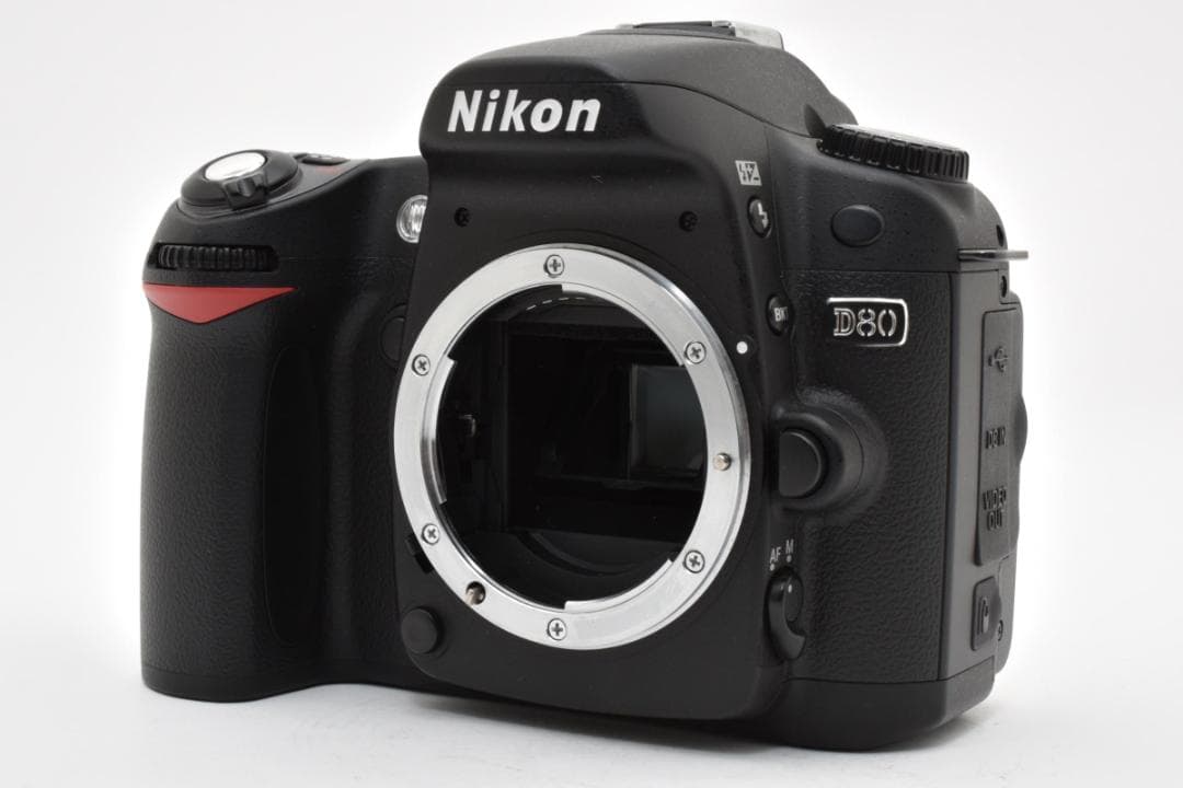 Nikon Digital Slr D80