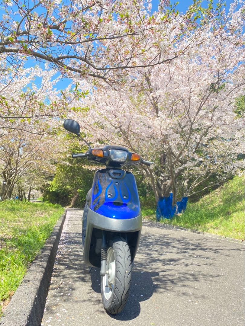 Yamaha Motor Motorcycle Body