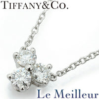 Tiffany Necklace Pt950 Tiffany&Co. Ok