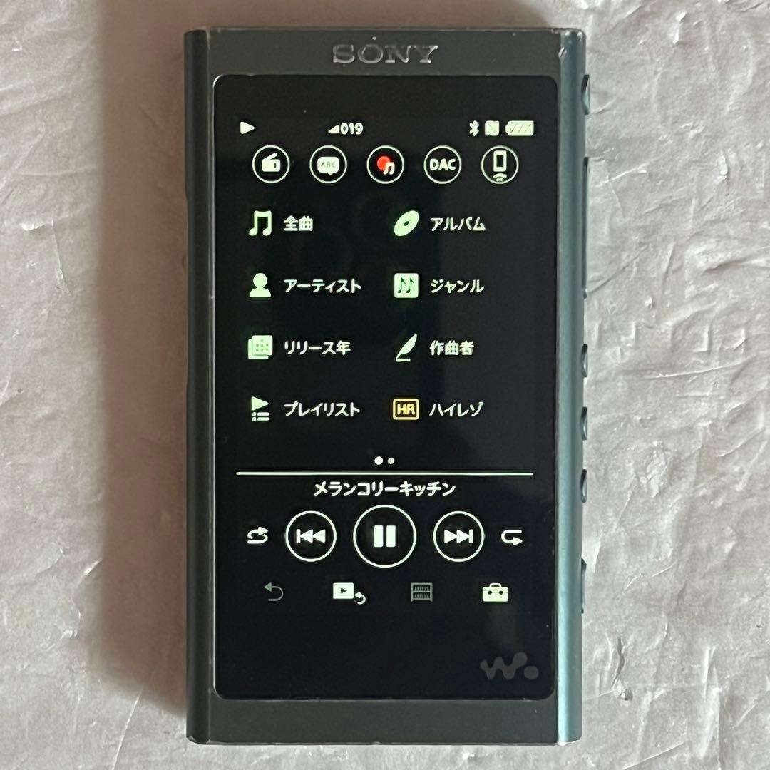 Sony Digital Audio Players Nw-A55 16Gb