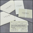 Loewe Sunglasses Y2K