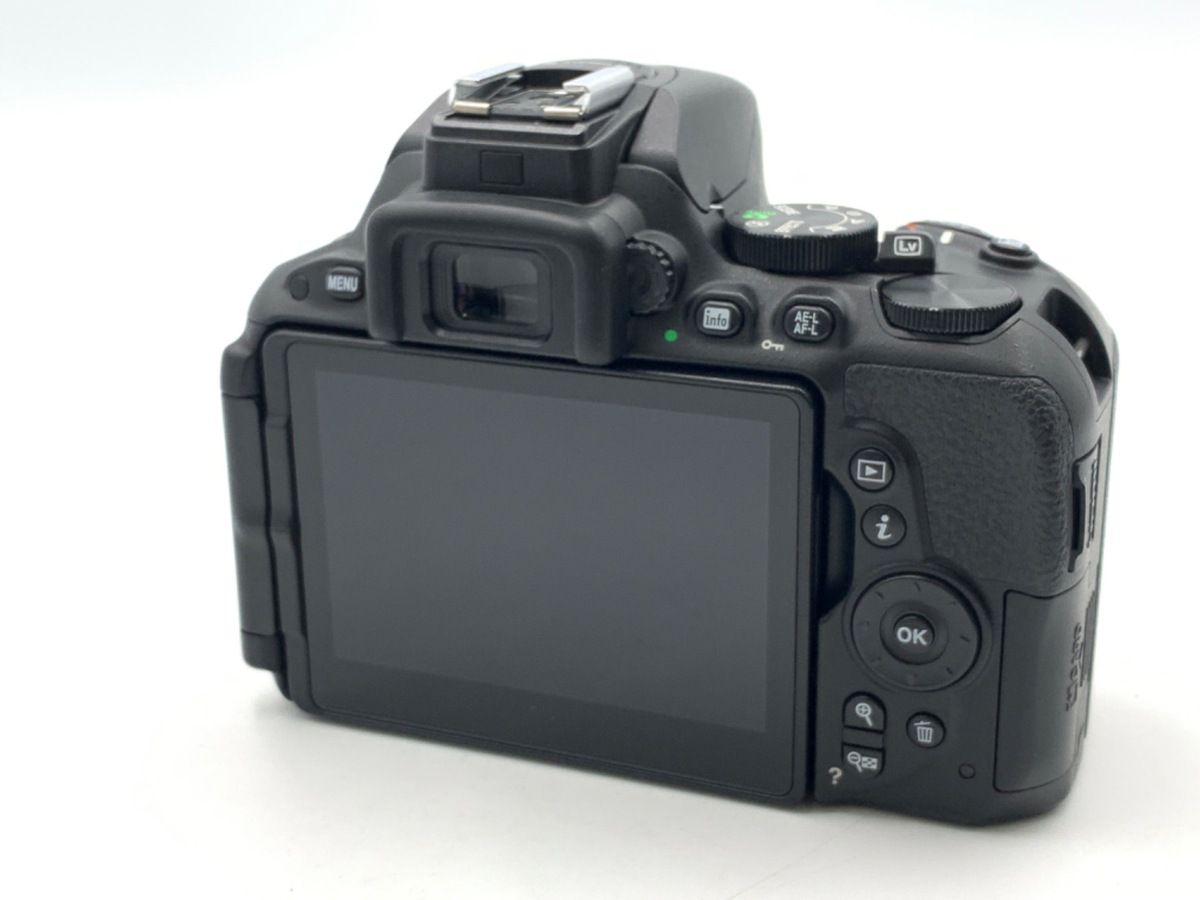 Digital Slr D5500