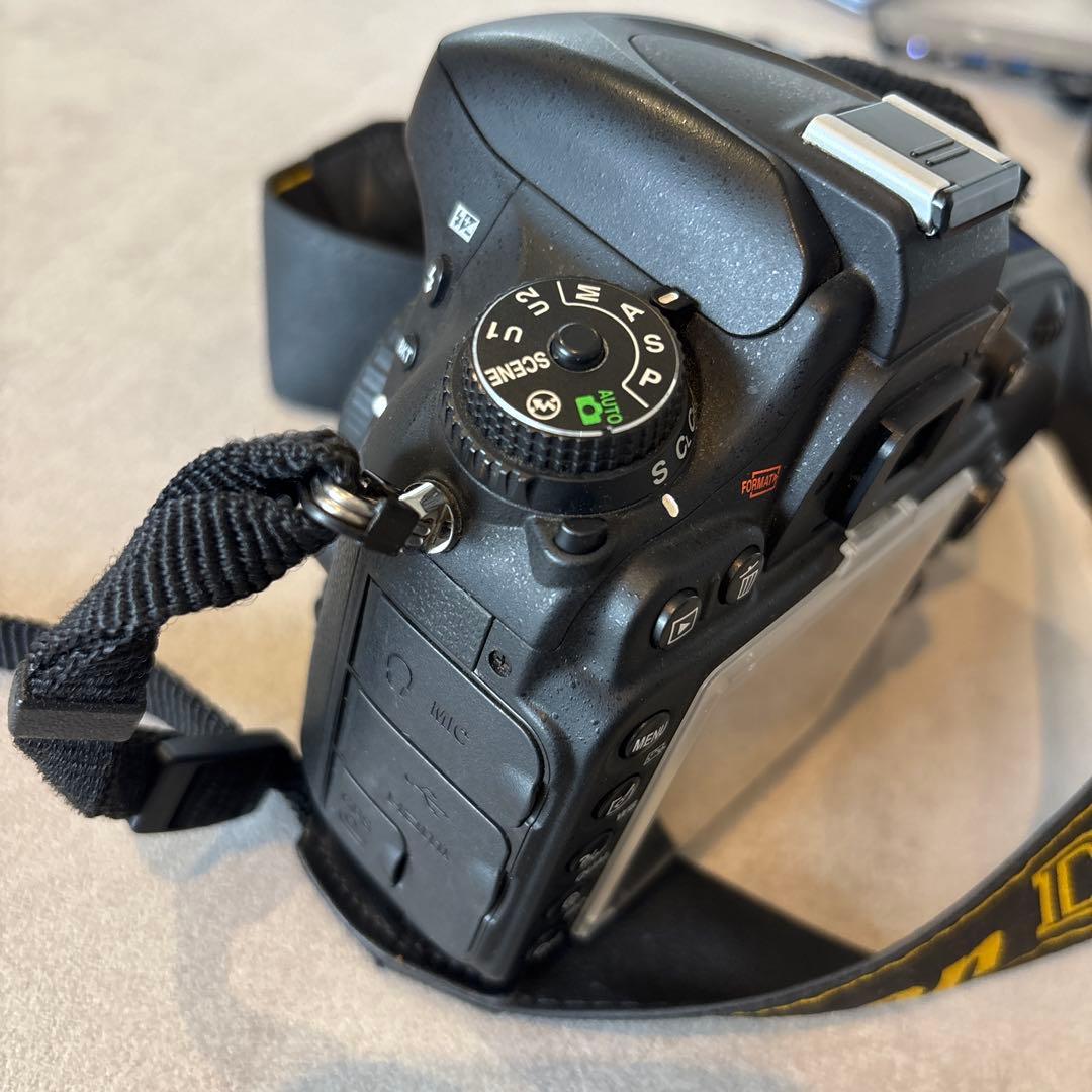Nikon Digital Slrs D600 20,119