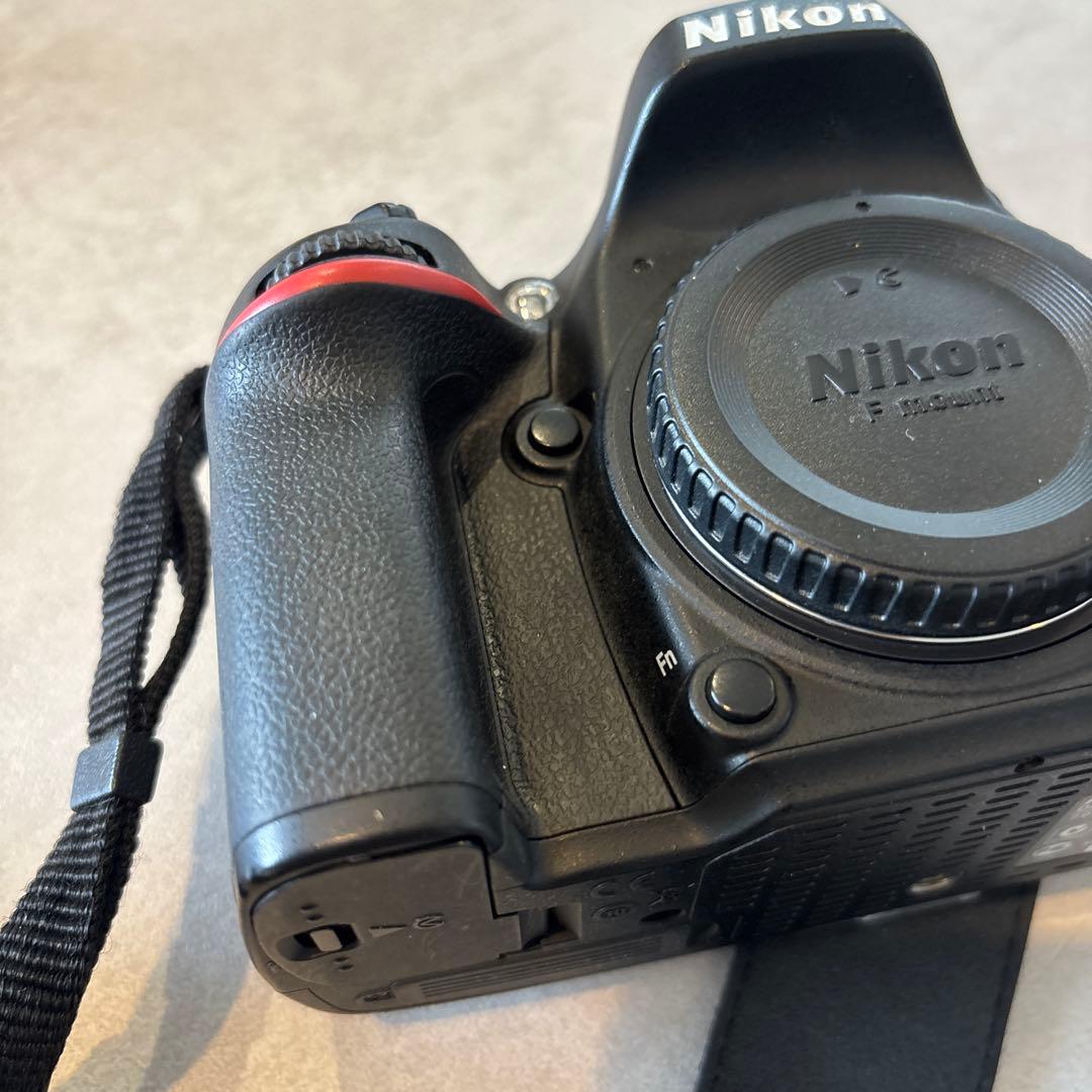 Nikon Digital Slrs D600 20,119