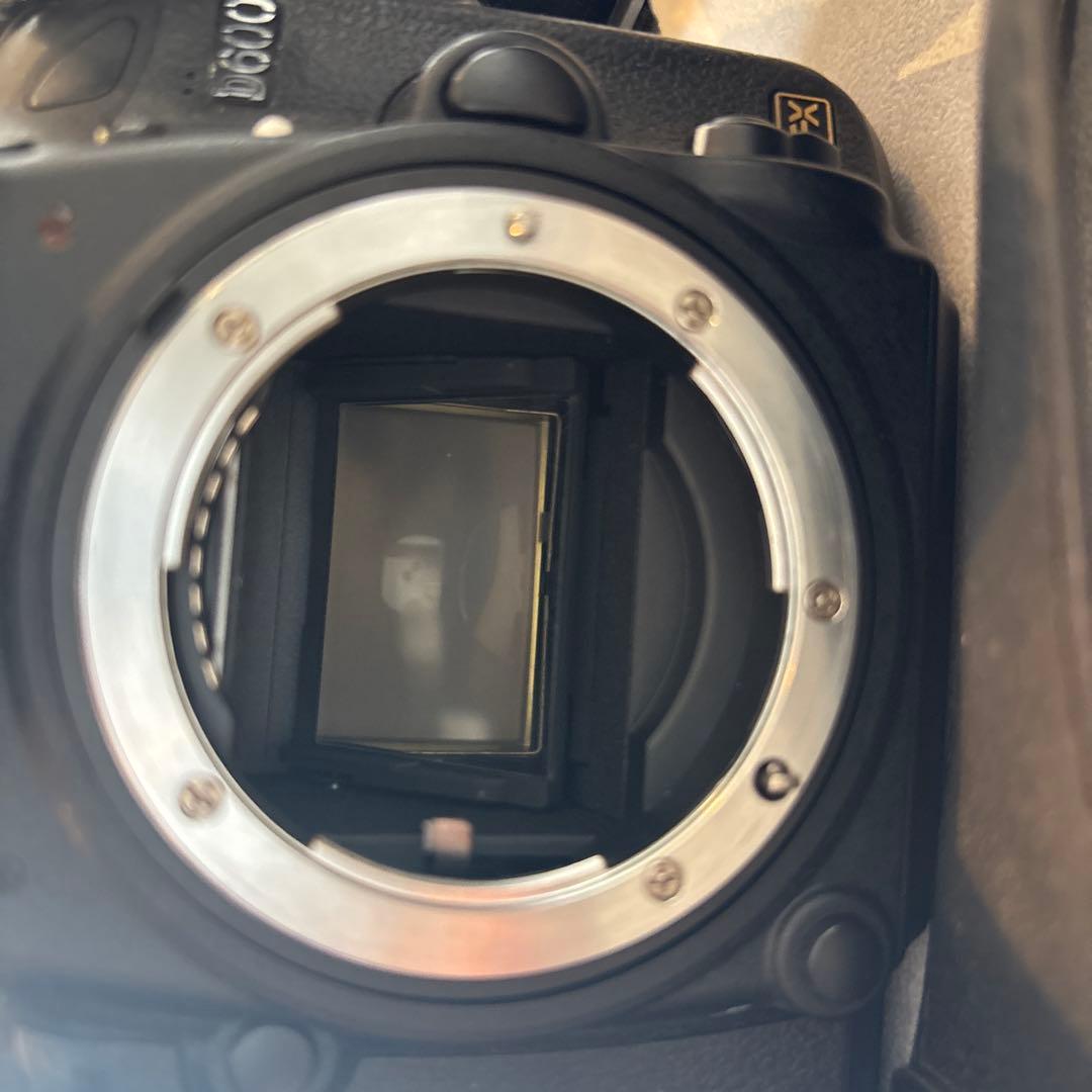 Nikon Digital Slrs D600 20,119