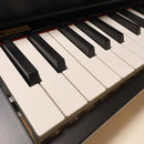 Korg Keyboard Electronic Piano Y Micropiano 61 S