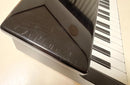 Korg Keyboard Electronic Piano Y Micropiano 61 S