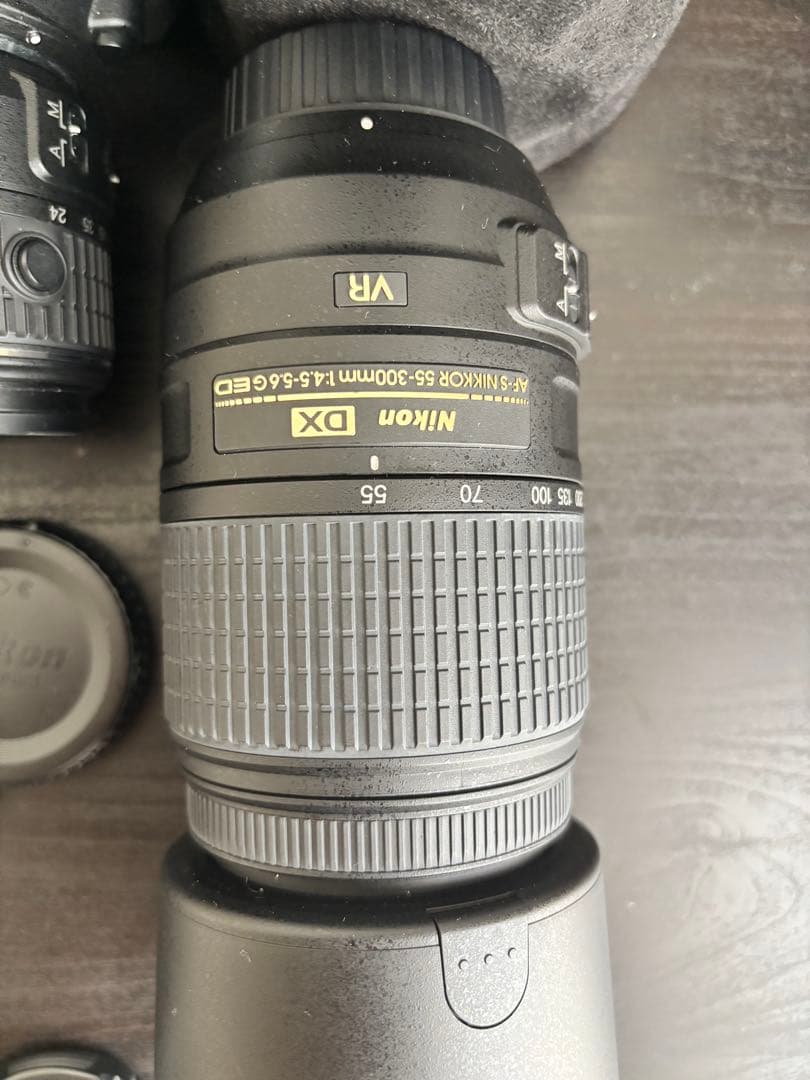Nikon Digital Slrs D5500