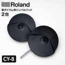 Roland Drum Pads Practice (Mute) Cy-8 2