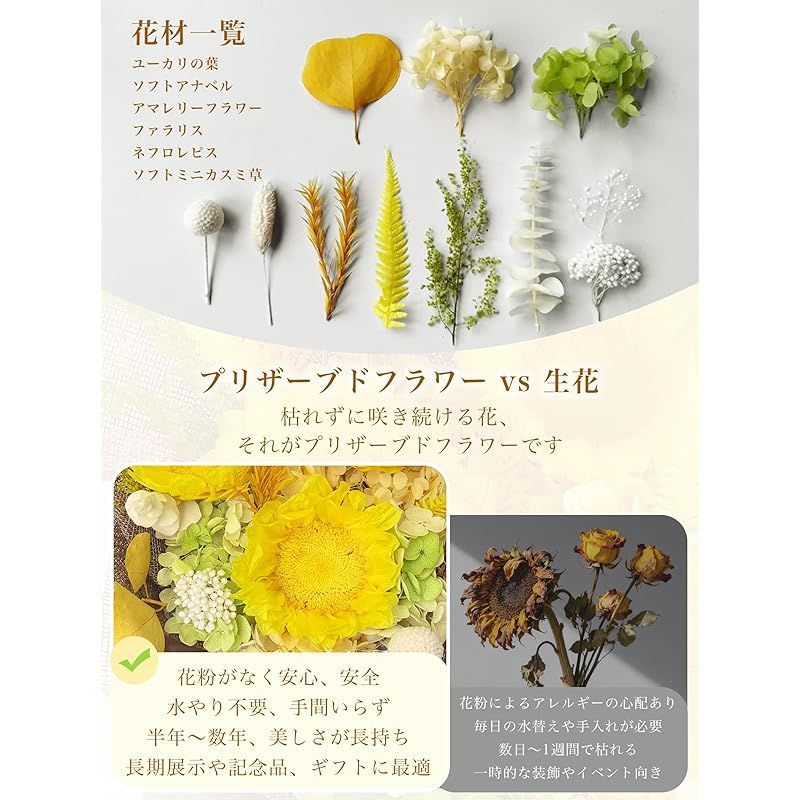 Preserved Flower Fiorifiore 3 Sundara 1