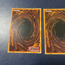 Yu -Gi -Oh! Ocg Duel Monsters (Foreign Language Version) Led2-3 1St Edition