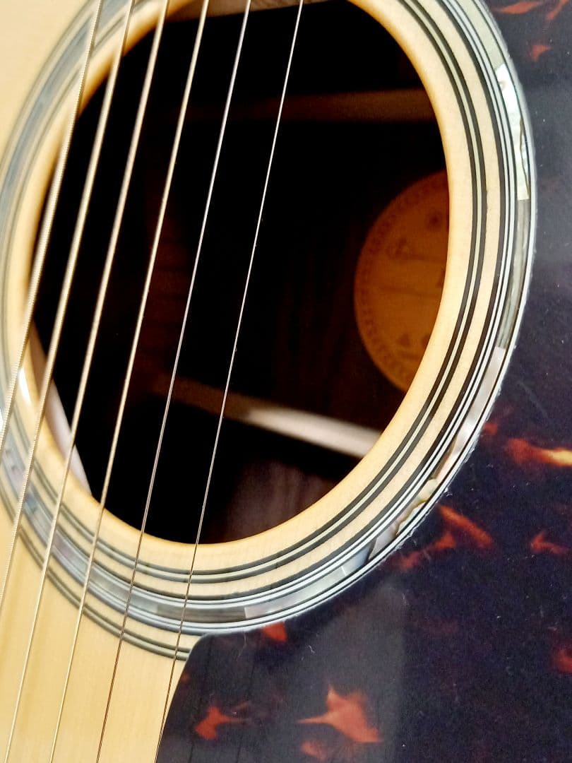 Yamaha Acoustic Guitars Ls6