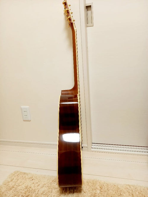 Yamaha Acoustic Guitars Ls6