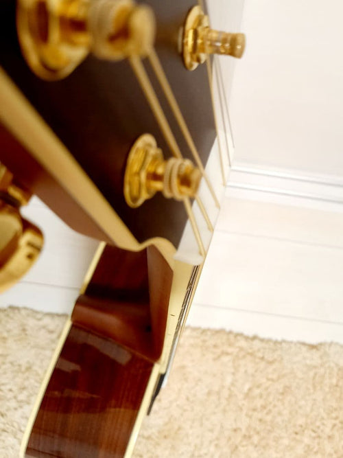 Yamaha Acoustic Guitars Ls6