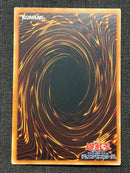 Yu -Gi -Oh! Ocg Duel Monsters Xyz