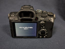 Sony Mirrorless Interchangeable Lips 7