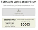 Sony Mirrorless Interchangeable Lips 7