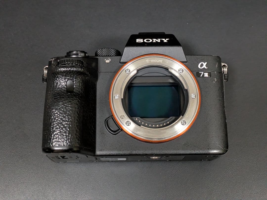 Sony Mirrorless Interchangeable Lips 7
