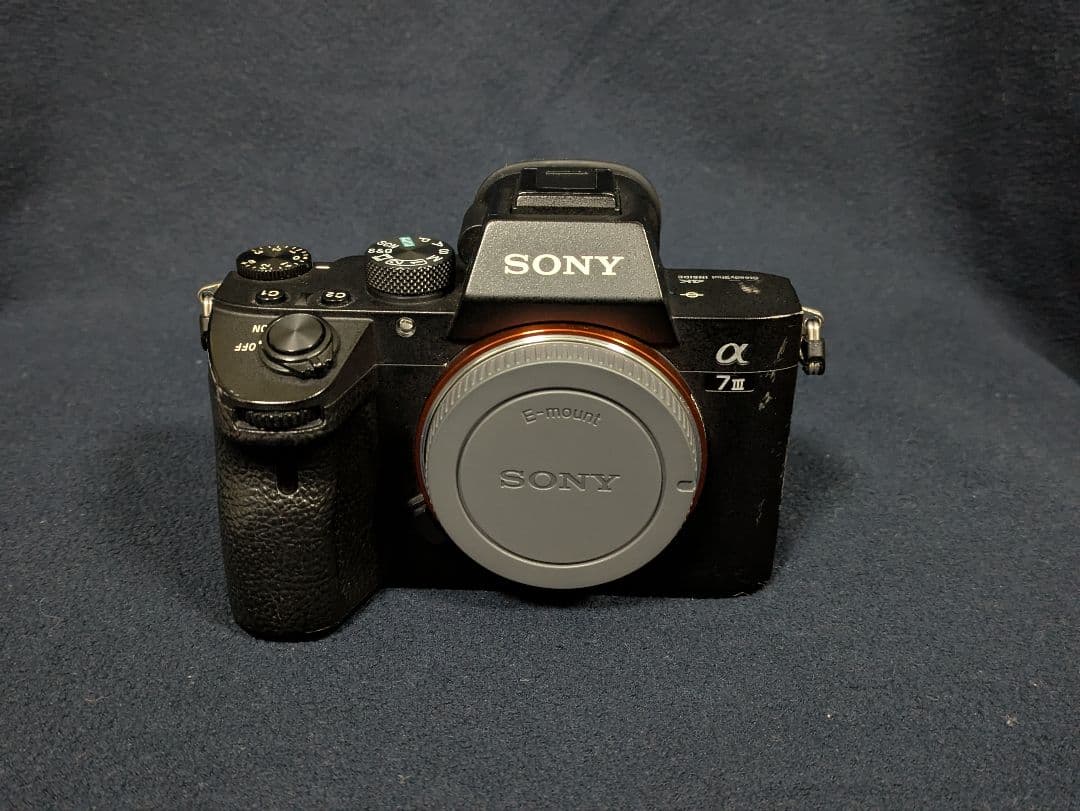 Sony Mirrorless Interchangeable Lips 7