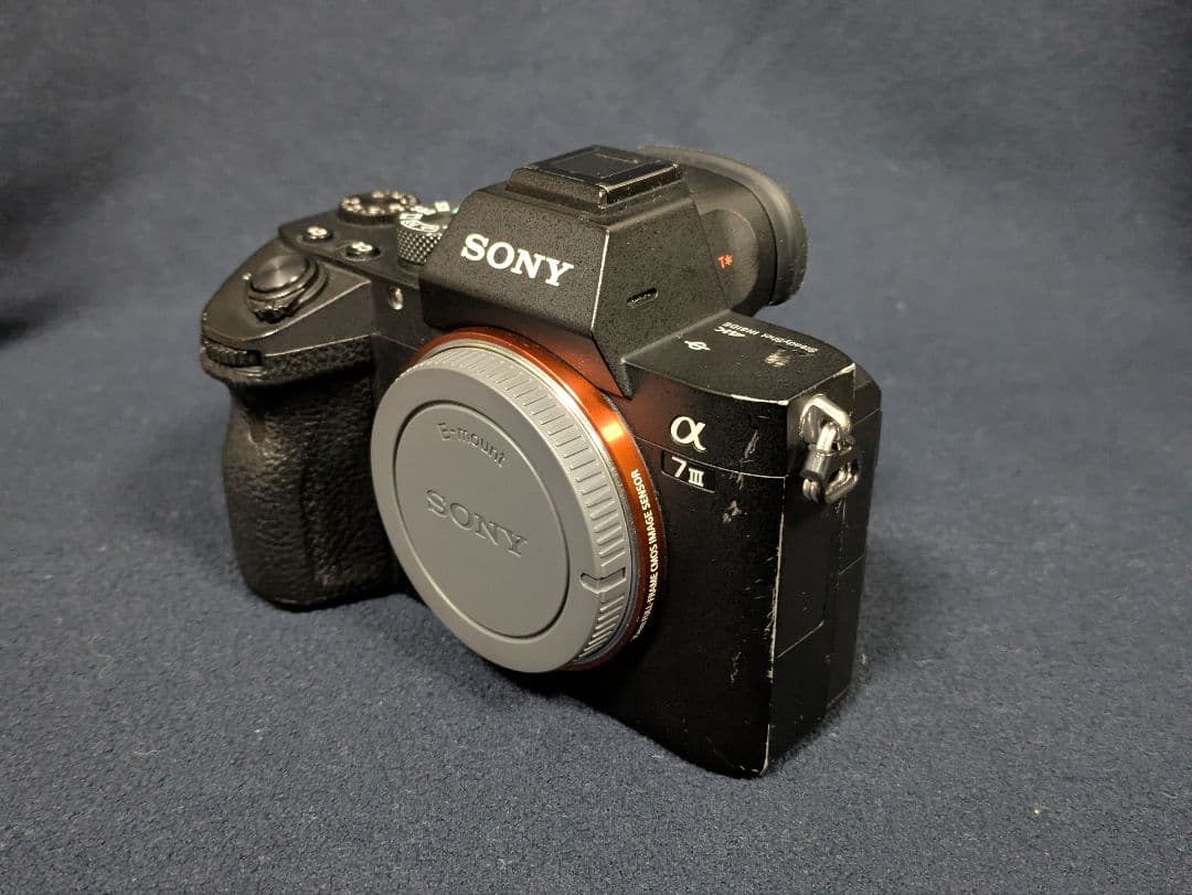 Sony Mirrorless Interchangeable Lips 7