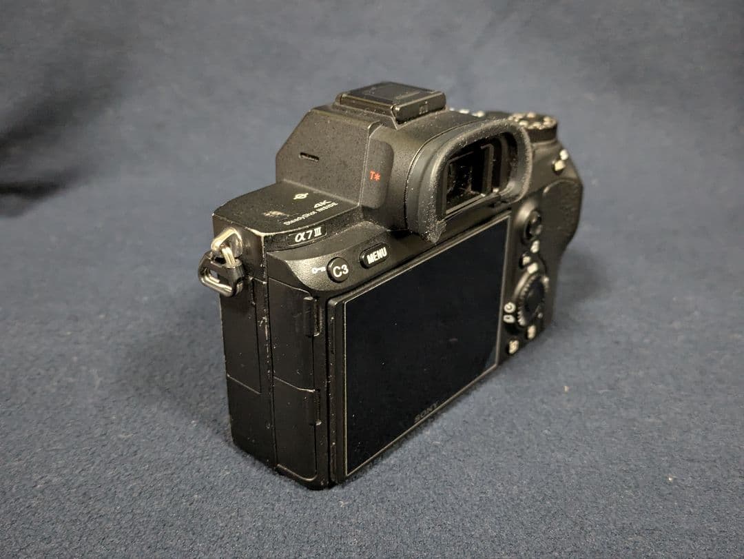 Sony Mirrorless Interchangeable Lips 7