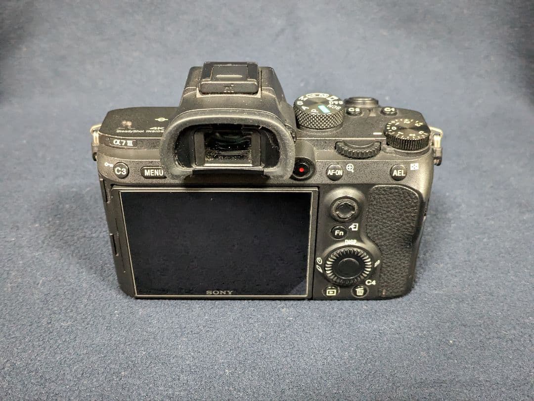 Sony Mirrorless Interchangeable Lips 7