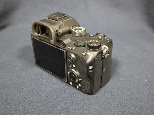 Sony Mirrorless Interchangeable Lips 7