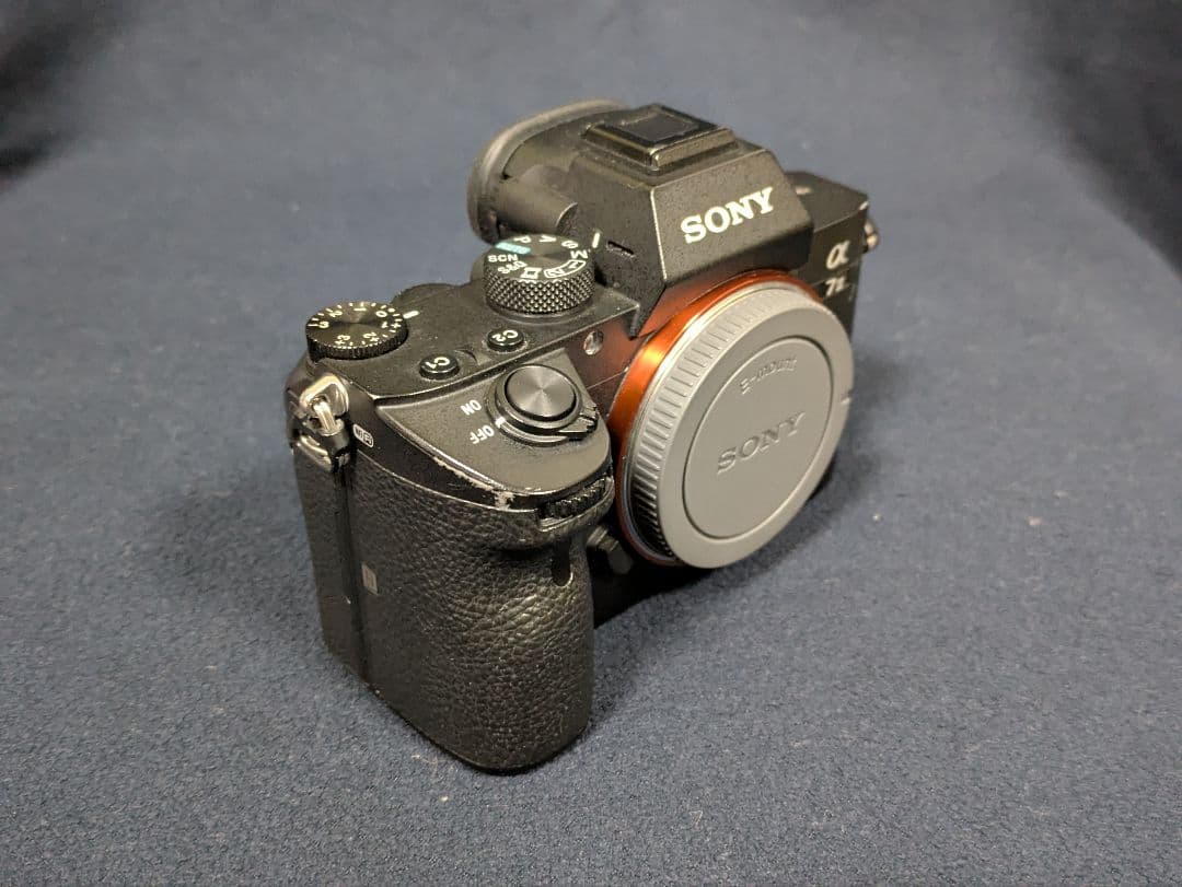 Sony Mirrorless Interchangeable Lips 7