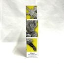 Others S )S.H.Figuarts [79]