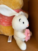 Disney Stuffed Animal Body