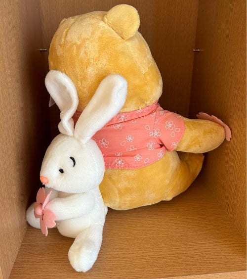 Disney Stuffed Animal Body