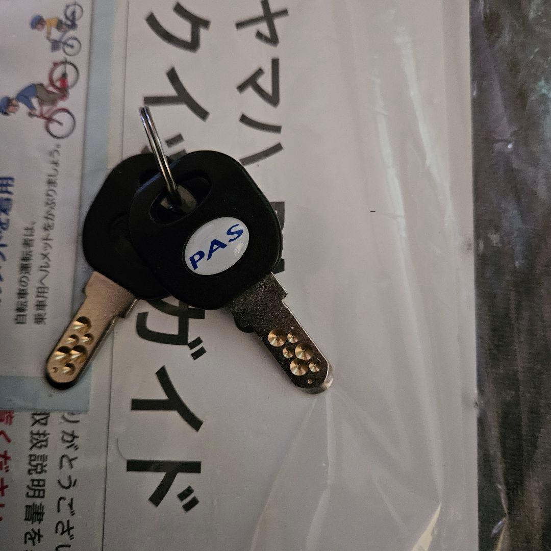 Yamaha City Type